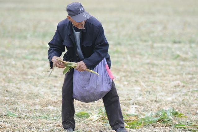 按“最低档”社保交满15年，等60岁退休后，可以领多少退休金？