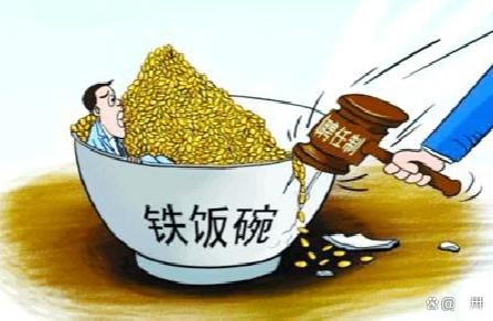 河南省事业单位改革：精简机构提升效率，打破传统‘铁饭碗’观念