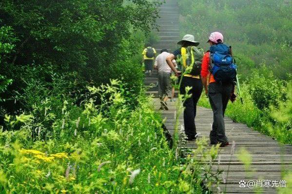 退休5年，试过旅居养老，四年花40万，如今找到一种绝妙养老方式