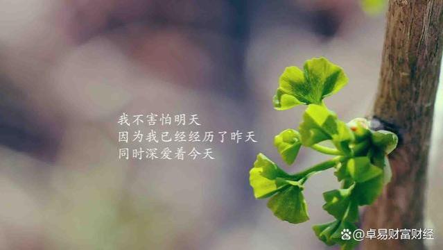 能发财 能改变命运 唯一机会就是创业