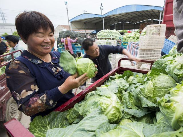 提高农产品收购价格，禁止农民外出打工，乡村才有振兴的希望