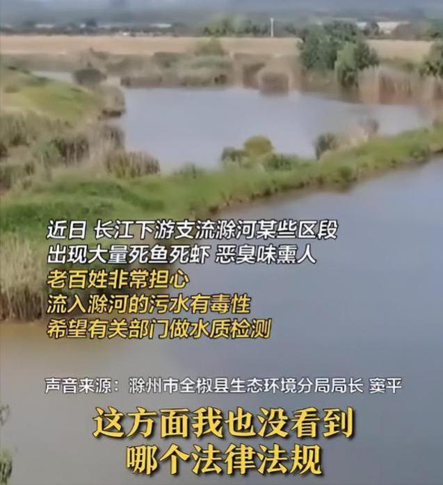 滁河水污染后续，环保局长语出惊人，下属直言：我还有两个月退休