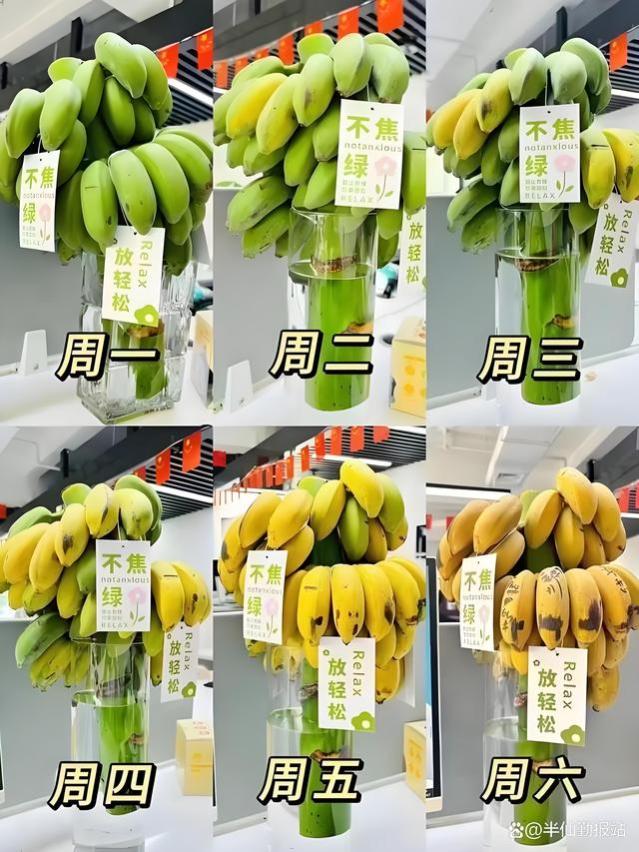 “蕉绿”霸主：大厂员工离职后卖蕉绿月入200万，谐音梗创业传奇