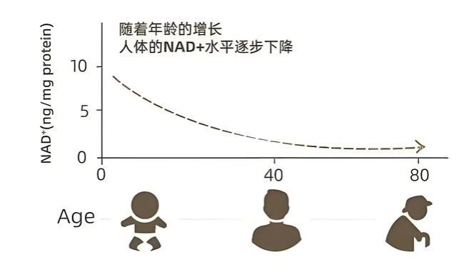 美国正崩溃！硅谷一夜之间已经裁员26万，谷歌：裁员就是香