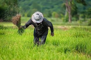 得知曾跟我一样是民办教师的同事的退休金，我后悔当初为钱辞职