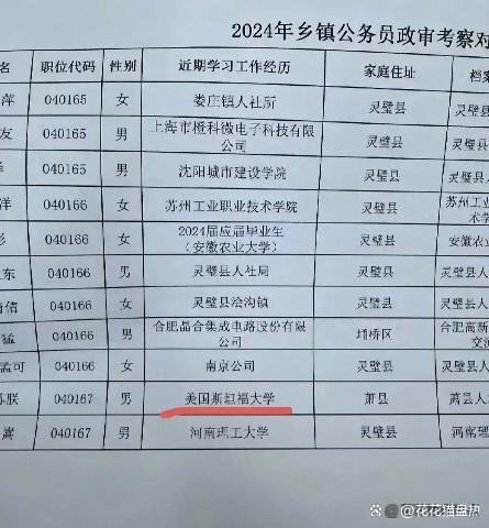 到底是为什么？名校斯坦福大学高材生入职乡镇岗位！搞不懂！