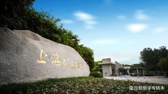 上海市被严重低估3所大学，就业率不输985，录取分数还不高