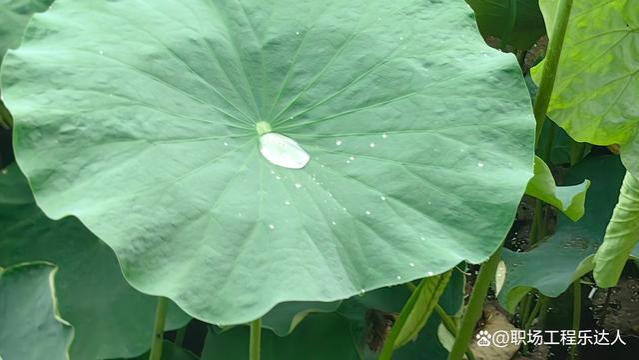 职场上，三个不可踩的“雷区”