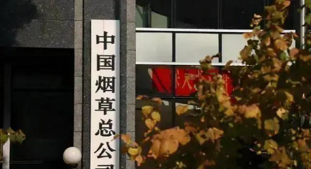 中国烟草面向大学生招聘，月薪8000元，不用笔试、面试轻松就上岗